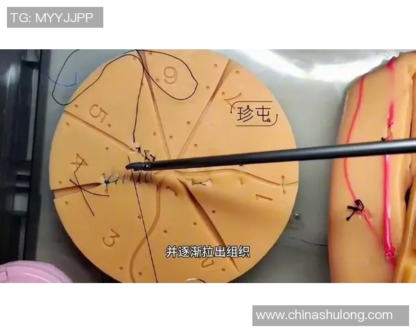 广州篮球队中路突破战术解析与实战应用探讨