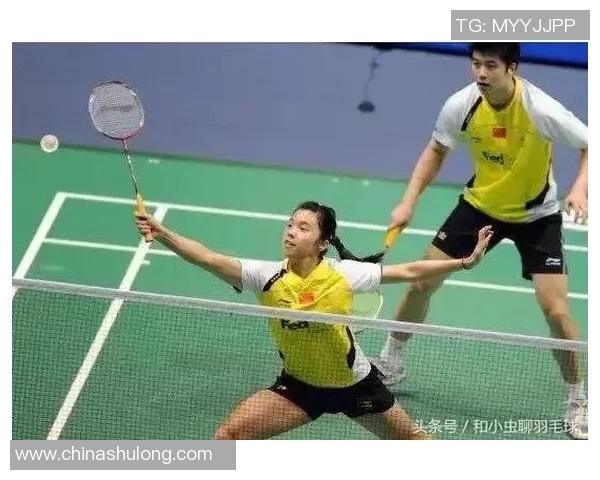 广州羽毛球队战术解析与对手比较的深度剖析与启示