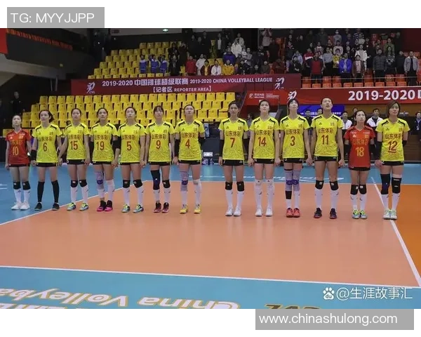 排球个人能力排行榜揭晓北京排球队排名第九引发热议