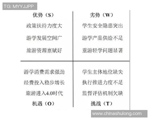 深圳羽毛球队心理素质深度对比分析与提升策略探讨 深圳羽毛球队心理素质深度对比分析与提升策略探讨