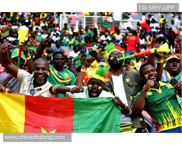 喀麦隆足球明星的辉煌历程与成就全面介绍